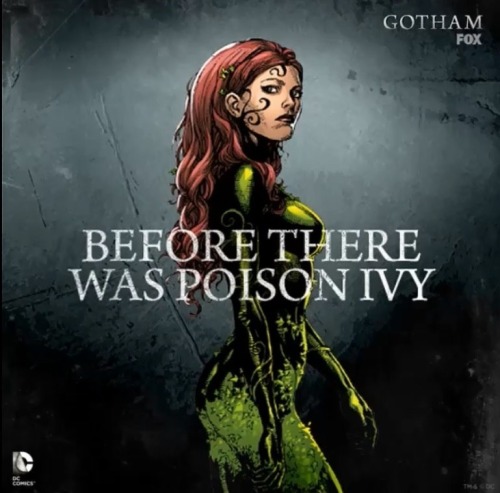 extraordinarycomics:Gotham.