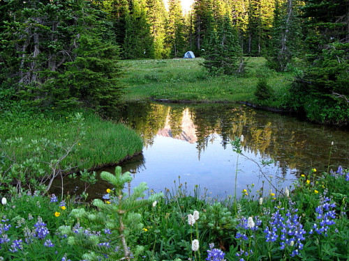 szelence:McCall basin reflecting pool by oldmantravels on Flickr.