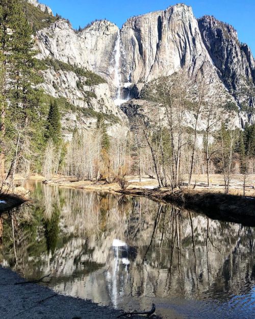 It’s becoming that season again #yosemitefalls #waterfalls #waterfallsofinstagram #nature #naturepho