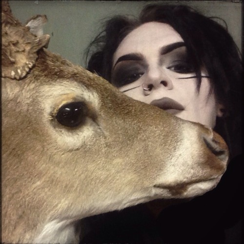 lonesomeghosts:  A very deer friend of mine 🌾