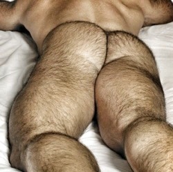 mydaddyishairy: My Daddy is Hairy - over 66,000 followers: Archive  