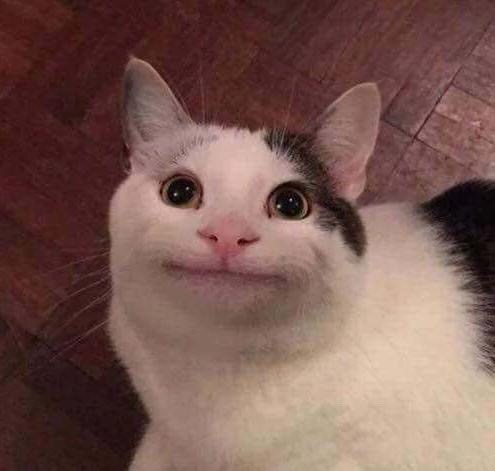 Aw Yeah Pudgy Kitties! — Why... does El Niño......... look like the  Smiling...