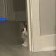 friendlyneighbourhoodfaggot