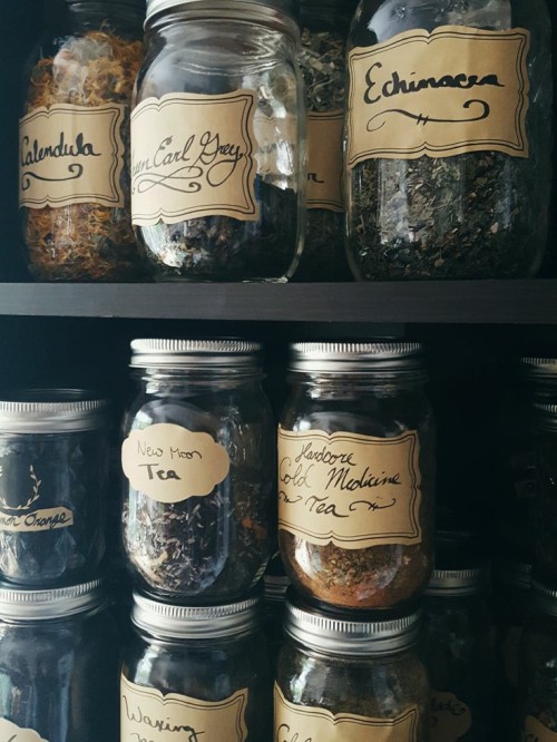 Today’s Mood: Live In A Forest Cottage, Make Magic Potions And Grow Herbs In The Garden