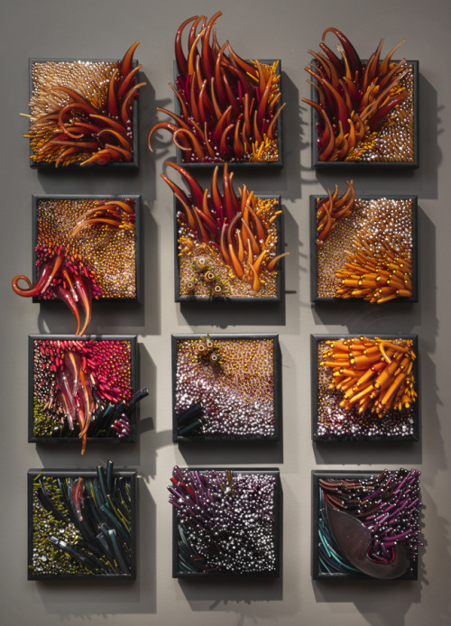 mayahan:Stunning 3D Glass Sculptures Inspired by Wind and WaterShayna Leib