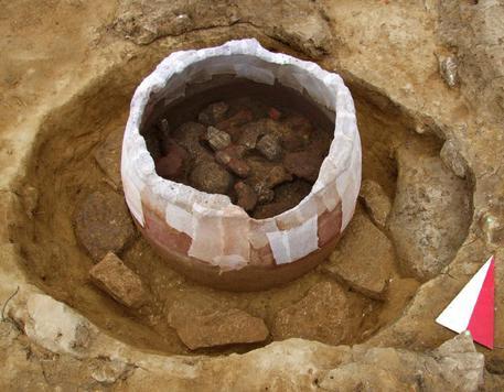 Pre-Etruscan tomb discovery