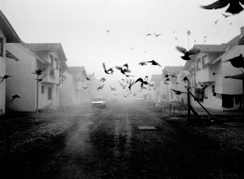 flowbook: Tarik Samarah 