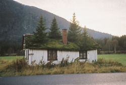 youthfary:  lifeof-ty:  b-undt:  cynicallys:  “Green roofs like this one is what we were learning about in college today. Beautiful, sustainable, wholesome designs like these are what inspire me to become an architect, not the soulless concrete boxes