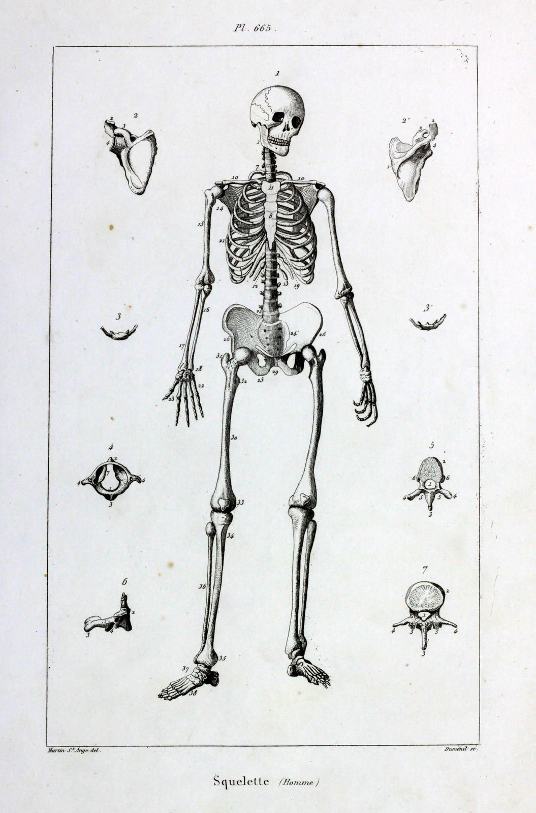 michaelmoonsbookshop:  19th century steel engraved illustrationc1839