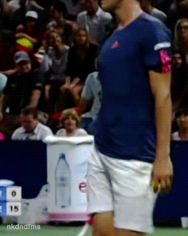 nkdndfms:Dominic Thiem