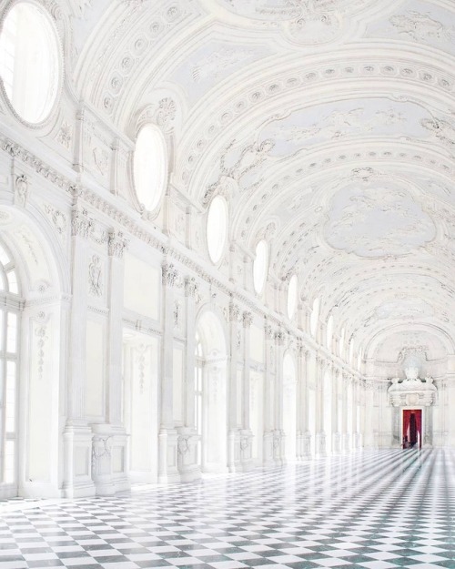 Reggia Di Venaria, Piemonte, Italia by Gabriele Colzi