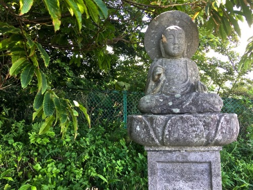 Hakodate Shiei Sumiyoshimachi Kyodo CemeteryHakodate, Japan, August 2019