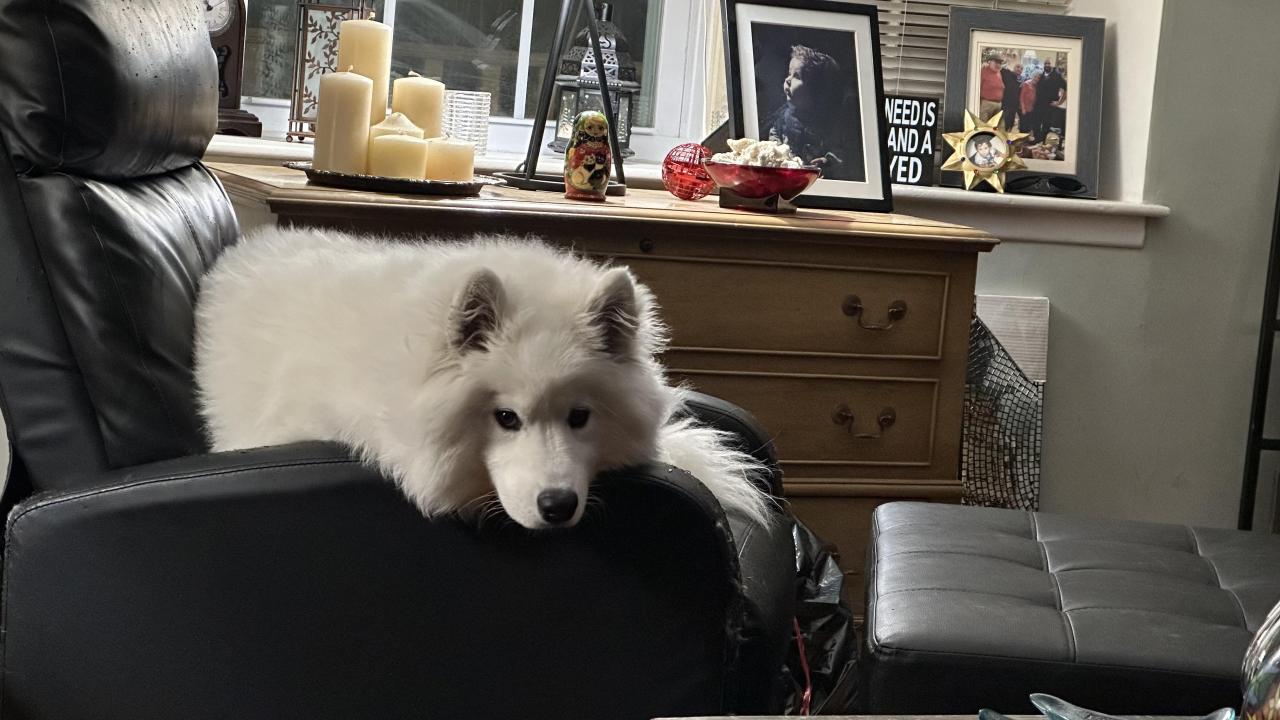 Ghost: “dis my chair now”