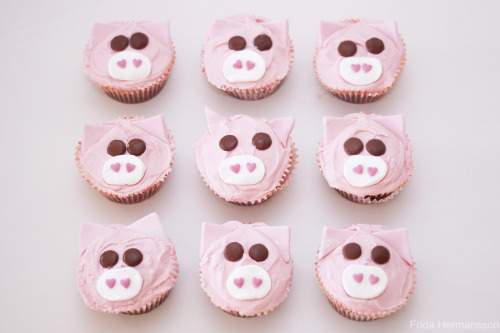 delectabledelight: Cupcakes (by Frida Hermansson)