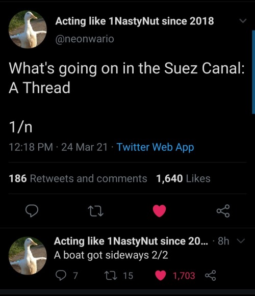 blondejaneblonde:spaghettioverdose:modmad:coolbeanscoolbeans:altruistic-meme:a collection of my favorite tweets regarding the Ever Given in the Suez Canalhappy 1st bday to… this.I personally am declaring this to be a new International Holiday Happy