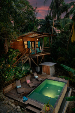 life1nmotion:  The Firefly - Bocas Del Toro, Panama 