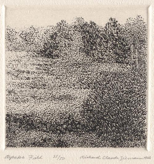 Richard Claude Ziemann - Rybak’s Field (1966)