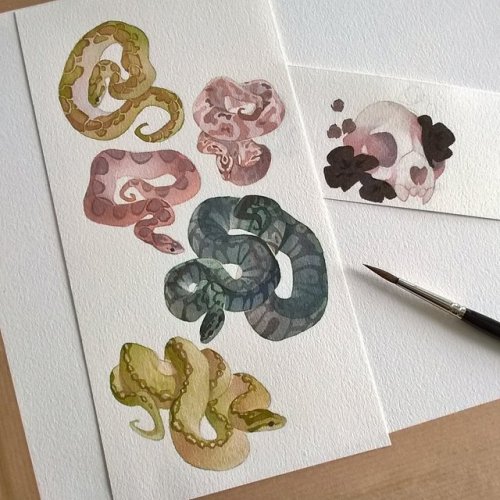 rozenn-blog:Snakes! They’ll be available as stickers on my shop soon!Whitenights watercolor, colorex