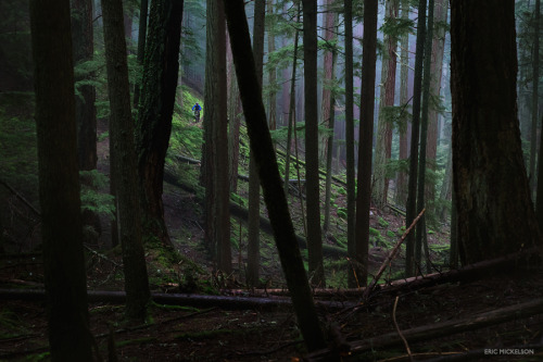 ericmickelson:A ride in the deep, dark woods. Orcas Island, March 2014. | ericmickelson.com