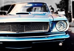 knightsidephotos:  Classic ‘Stang