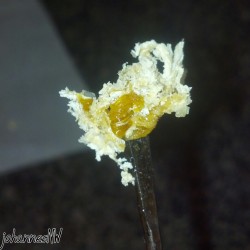 johannesnw:  Wax covered shatter!