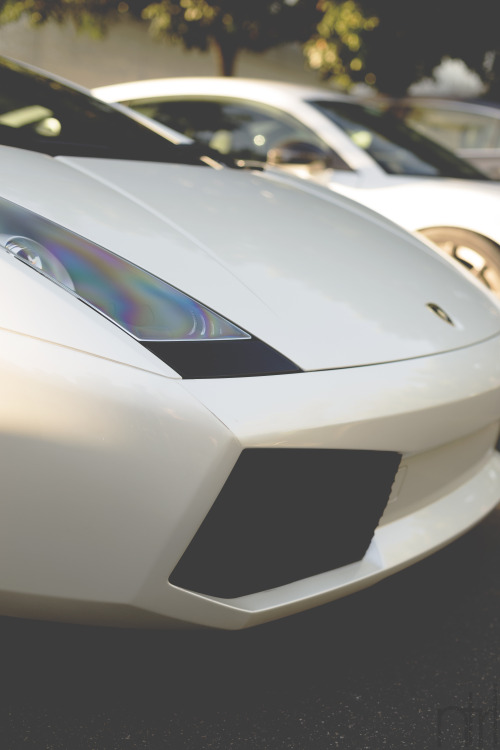 - Exotic Style -