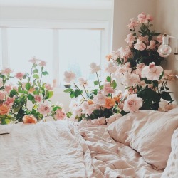 andantegrazioso:  Wake up and smell the roses