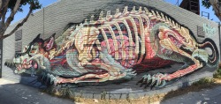 impermanent-art:  “Anatomy Of A Canis Lupus” • New mural by @nychos at @graphaids.