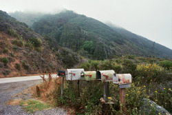 eartheld:  annaehrgott:  Rusty buckets  mostly nature   Rusty Buckets sounds like a confusing but cool porn name