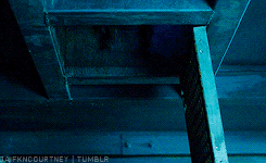 https://64.media.tumblr.com/62ff178b6a92f6adf7458605a7e4718a/tumblr_inline_obap2z8ukP1rfmocr_250.gif