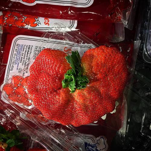 kmgsucks, Gmo strawberries at food lion smh (at Food Lion)