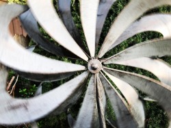 Spinning wheel.  (at Antioch, California)
