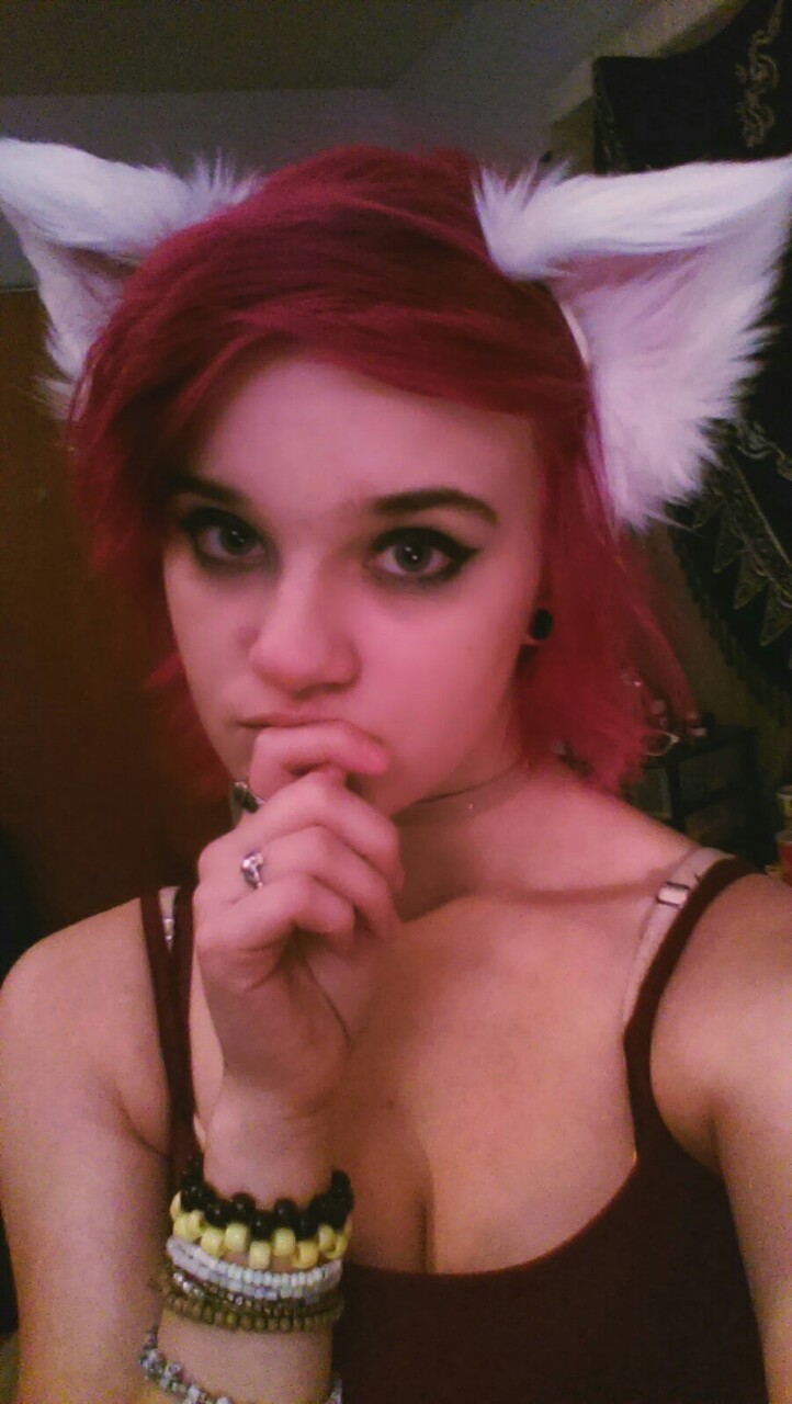 kittensplaypenshop:  lovelieskittenlives:  My @kittensplaypenshop gear was delivered