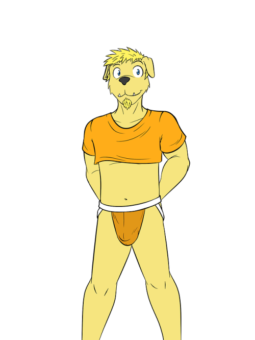 Sex Alternate outfits for the canine dude, don’t pictures