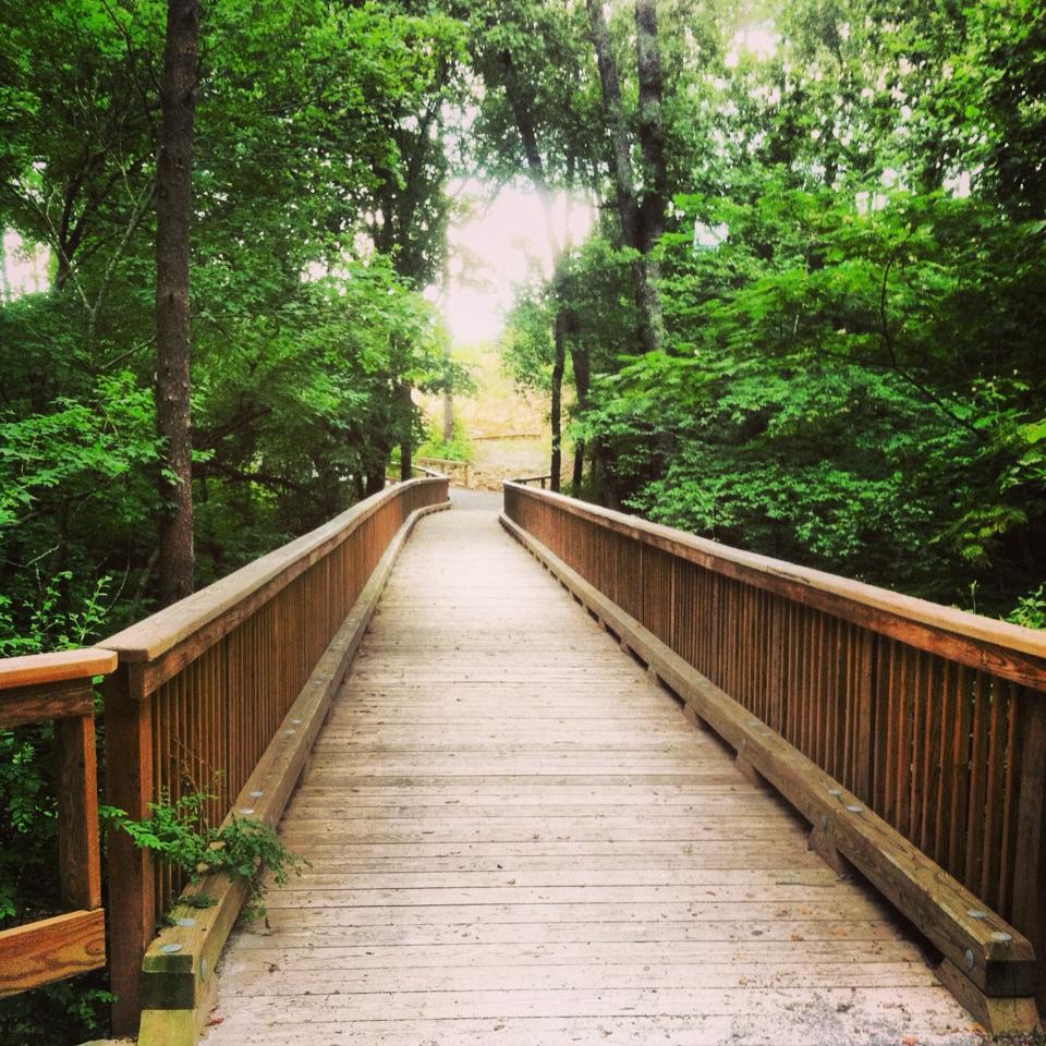 Photography isn’t my only hobby. I’ve recently become fond of running. Here’s an iPhone shot from a recent run on the Black Creek Trail at Noccalula Falls. Beautiful trail that makes for a great stroll in the Fall.