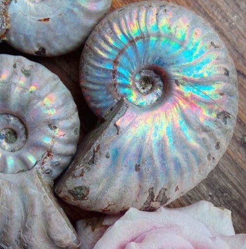 Greek Mythology From A To Z: