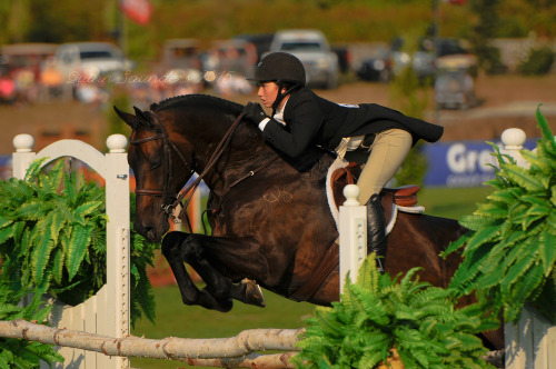 USHJA International Hunter Derby 2015© Quinn Saunders 2015