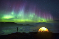 nubbsgalore:  photos by paul zizka in western