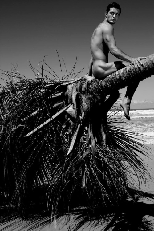 The Black & White Man