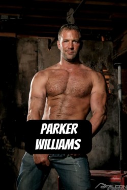 PARKER WILLIAMS at Falcon - CLICK THIS TEXT to see the NSFW original.  More men here: http://bit.ly/adultvideomen