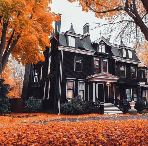 somethingsomethingtralala - Spooking, Spice, & All Autumn Nice