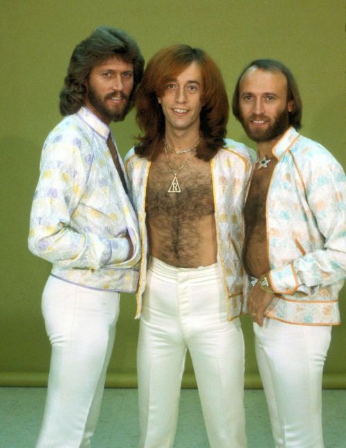 The Bee Gees - Barry Gibb