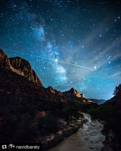 #Repost @navidbaraty ・・・ Night watcher . . . #zion #zionnationalpark #travel #utah #nightsky #travel