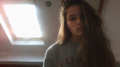 tessallation:  lame