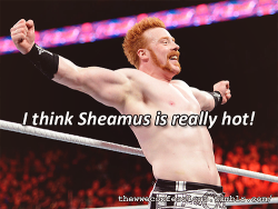 thewweconfessions:  “I think Sheamus is