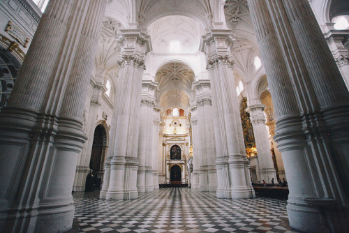 melodyandviolence:Granada Cathedral by Yulia Podol'skaya