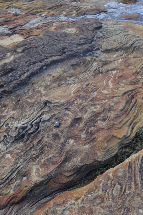 2020: Slumped cross-bedding in the Hawkesbury Sandstone (Triassic) at Cape Banks.