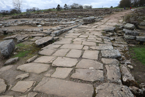 thesilicontribesman: Shops, Workshops and a Tavern, Vindolanda Roman Fort, Northumberland, 29.4.18. 