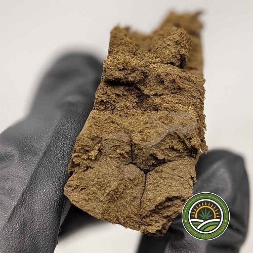 GOLD SEALED ZIGZAG HASH
29.99 - 249.99 CA$
See more : https://tfcannabis.com/product/zigzag-hash-hash-copy/
Zig Zag Hash is a premium imported hash coming directly from Lebanon – one of the finest global producers of hash. This fine hash is processed...