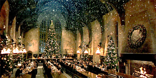 alwayssnapesaid:  Harry Potter films + Christmas adult photos